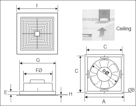 AF Dimensions